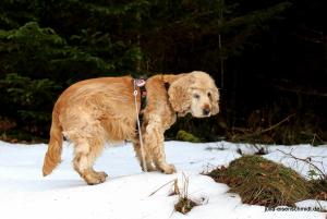 20190223 Sauerland 02
