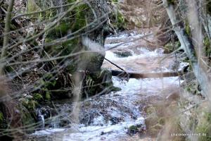 20190223 Sauerland 05