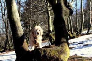 20190223 Sauerland 09