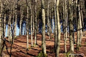 20190223 Sauerland 13