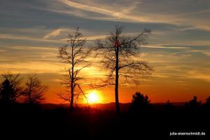 20190223 Sauerland 16