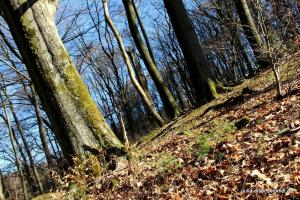20190216 Wuppertal 01