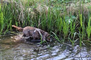 201904022 CoT Fischerhude 02