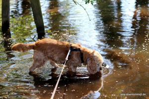 201904022 CoT Fischerhude 05