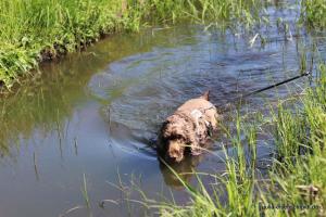 201904022 CoT Fischerhude 09