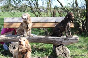 201904022 CoT Fischerhude 10