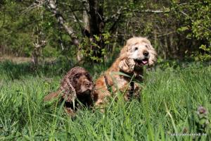 201904022 CoT Fischerhude 20