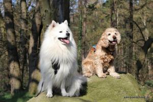 20190407 Molly Amadeus 02