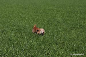 20190407 Molly Amadeus 03