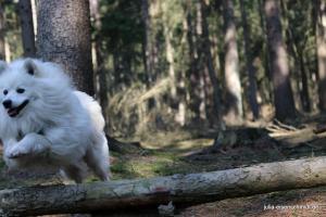 20190407 Molly Amadeus 04