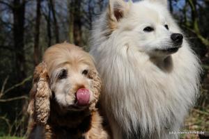 20190407 Molly Amadeus 05