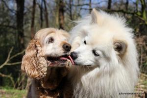 20190407 Molly Amadeus 06