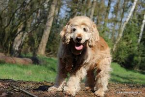 20190407 Molly Amadeus 08