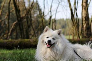 20190407 Molly Amadeus 09