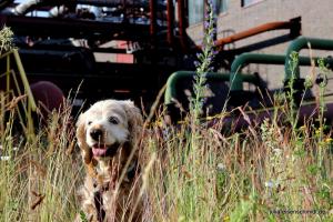 20190606 Zollverein 05