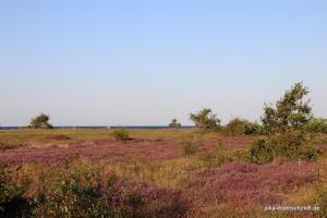 20190824 Fehmarn 01