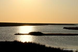 20190824 Fehmarn 05