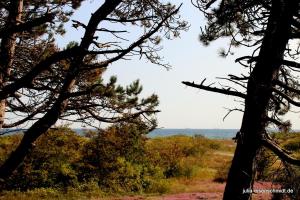 20190824 Fehmarn 10