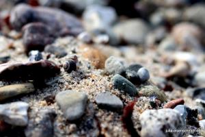 20190824 Fehmarn 34