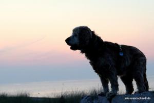20190824 Fehmarn 36