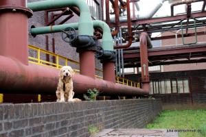 20190820 Ruhrpottmaedels 01