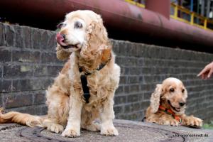 20190820 Ruhrpottmaedels 03