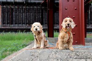 20190820 Ruhrpottmaedels 04