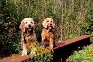 20190820 Ruhrpottmaedels 05