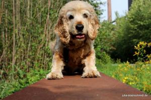 20190820 Ruhrpottmaedels 06