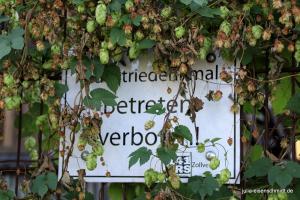 20190914 CoT Essen 06