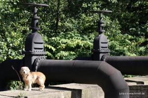 20190914 CoT Essen 13