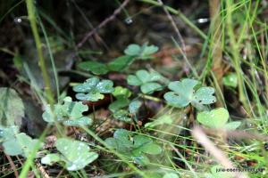 20191005 CoT Weserbergland 10