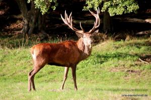 20191005 CoT Weserbergland 17