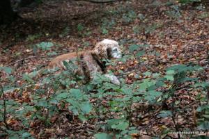 20191005 CoT Weserbergland 24