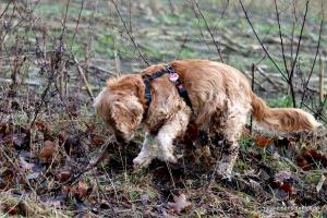 20191228 Meyenburg 3