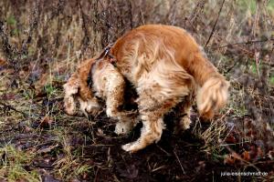 20191228 Meyenburg 4