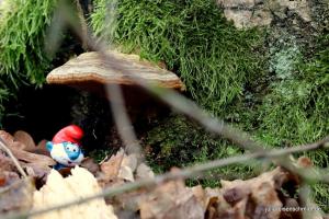 20191228 Meyenburg 6