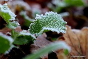 20191228 Meyenburg 8