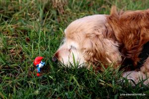 20191228 Meyenburg 9