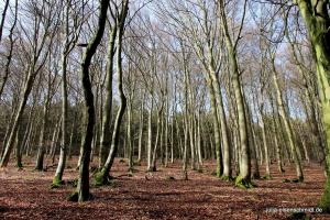 20200229 Sauerland 01