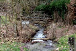 20200229 Sauerland 05
