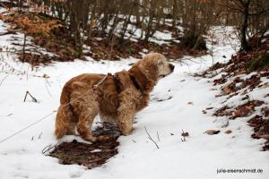 20200229 Sauerland 08