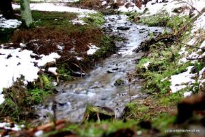 20200229 Sauerland 12