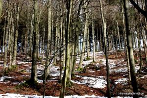 20200229 Sauerland 14