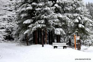 20200229 Sauerland 18