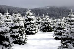 20200229 Sauerland 19