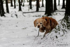 20200229 Sauerland 23