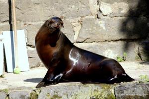 20200713 ZooKrefeld 04