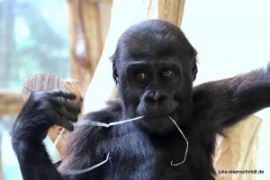 20200713 ZooKrefeld 06
