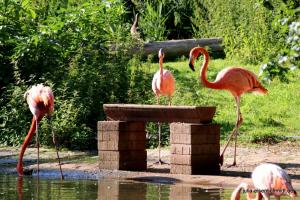 20200713 ZooKrefeld 09